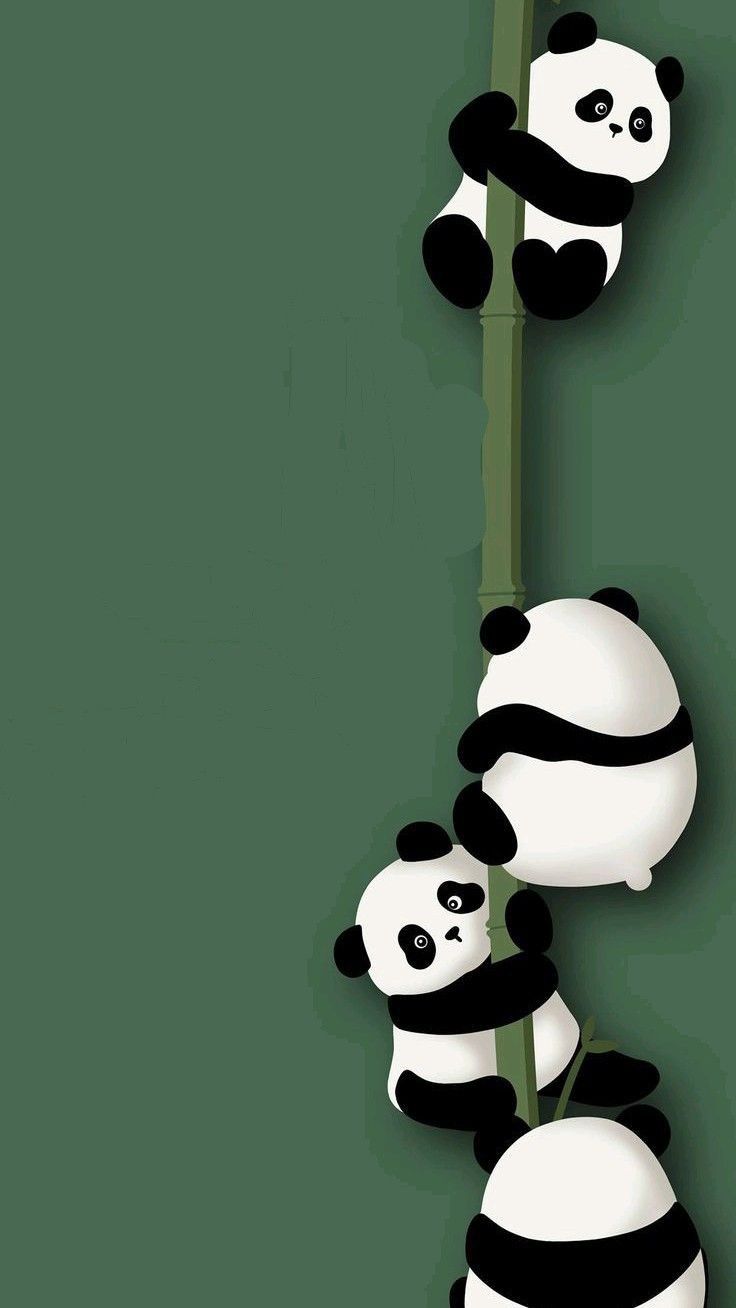 cute panda wallpapers 0032