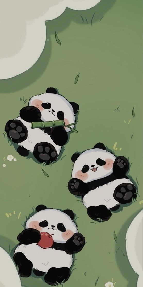 cute panda wallpapers 0083