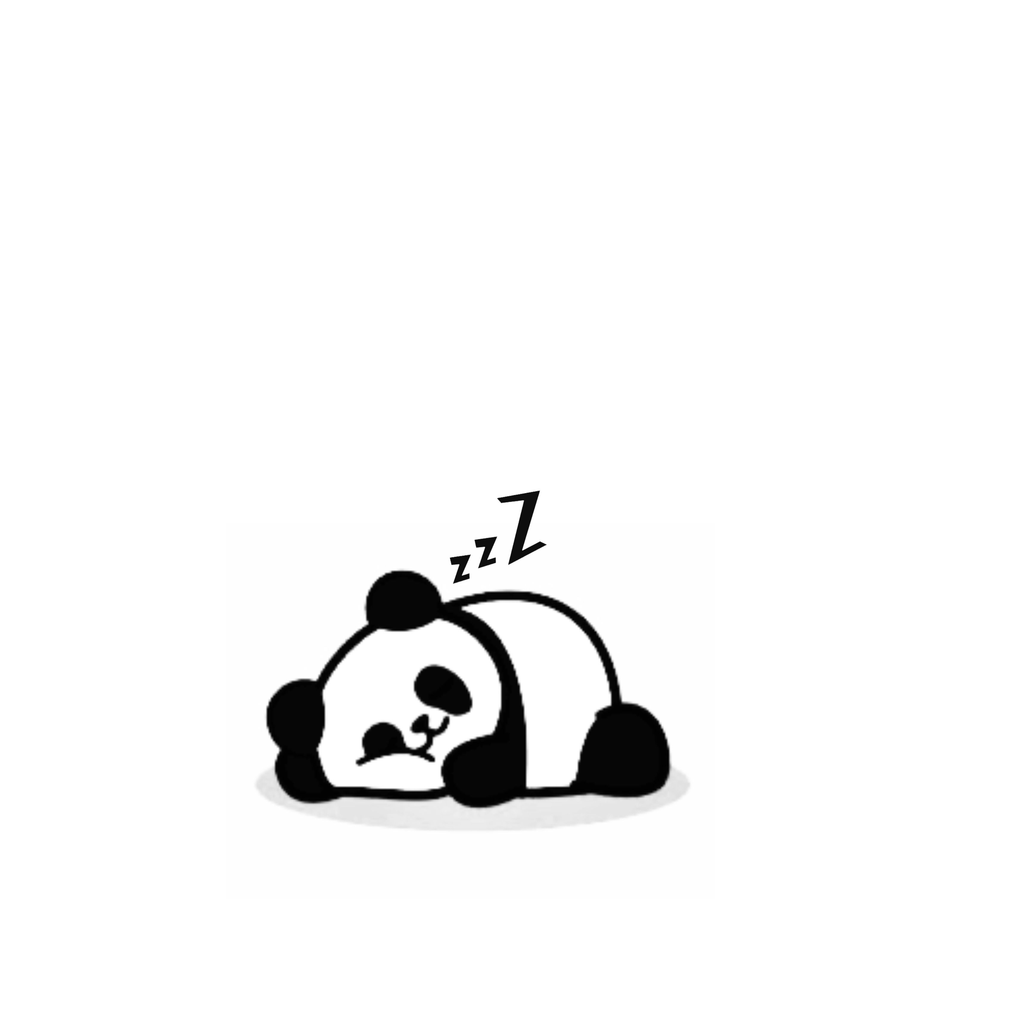 cute panda wallpapers 0095