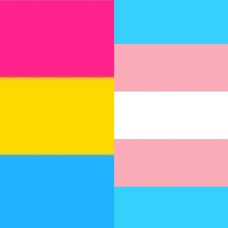 cute Pansexual wallpapers 0075