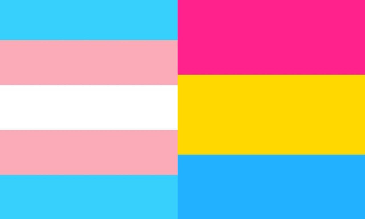 cute Pansexual wallpapers 0090