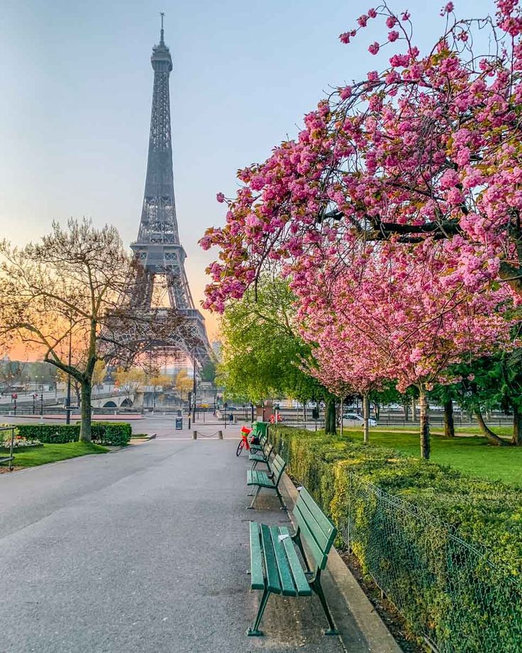 cute Paris wallpapers 0033