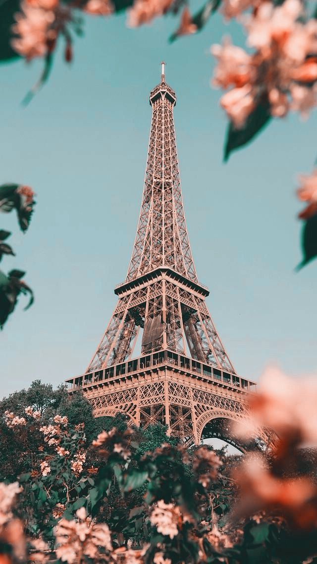 cute Paris wallpapers 0038