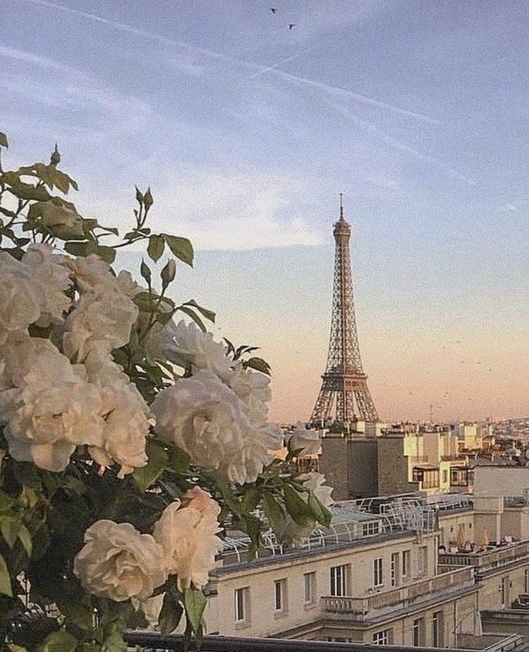 cute Paris wallpapers 0047