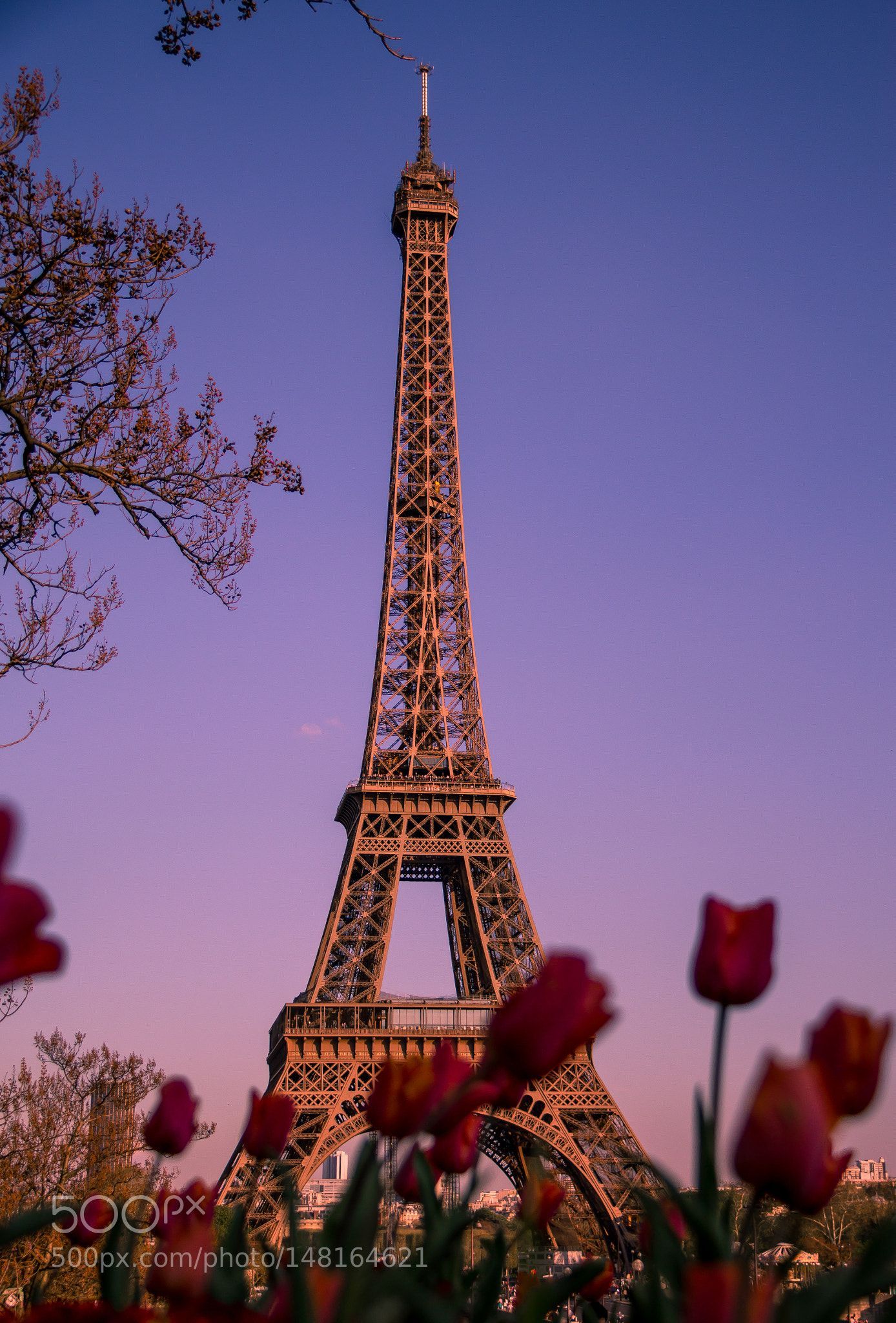 cute Paris wallpapers 0065