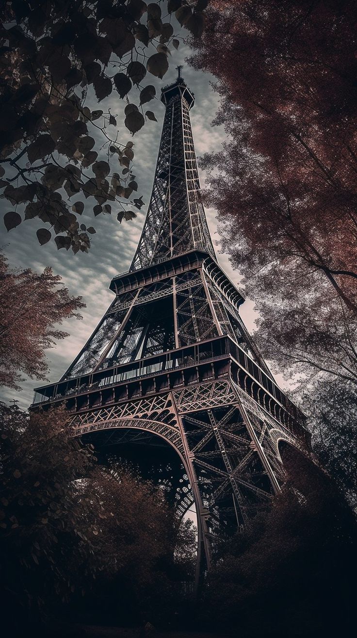 cute Paris wallpapers 0088