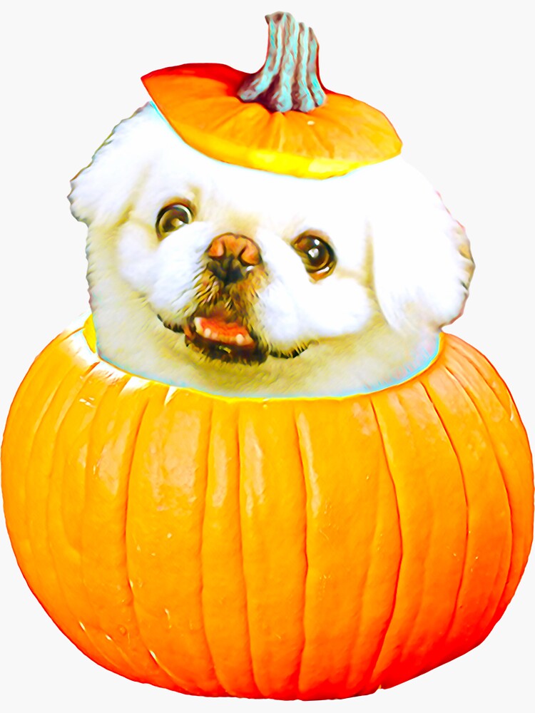 cute Pekingese halloween wallpaper 0009