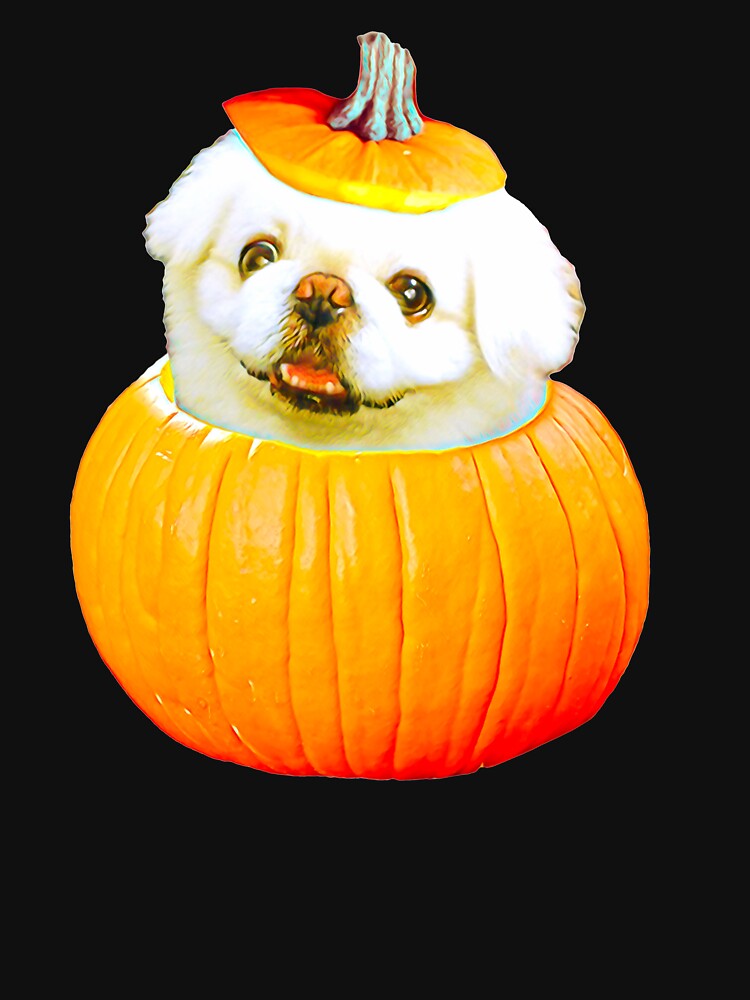 cute Pekingese halloween wallpaper 0020