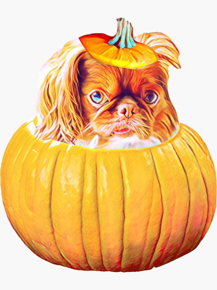 cute Pekingese halloween wallpaper 0028