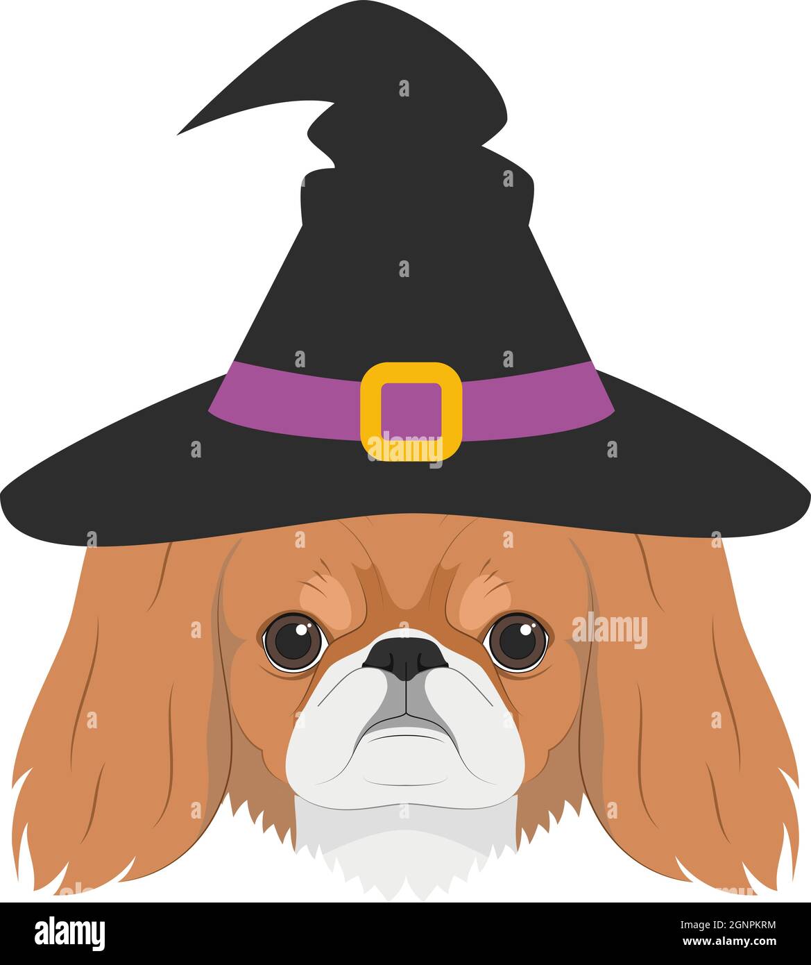 cute Pekingese halloween wallpaper 0035