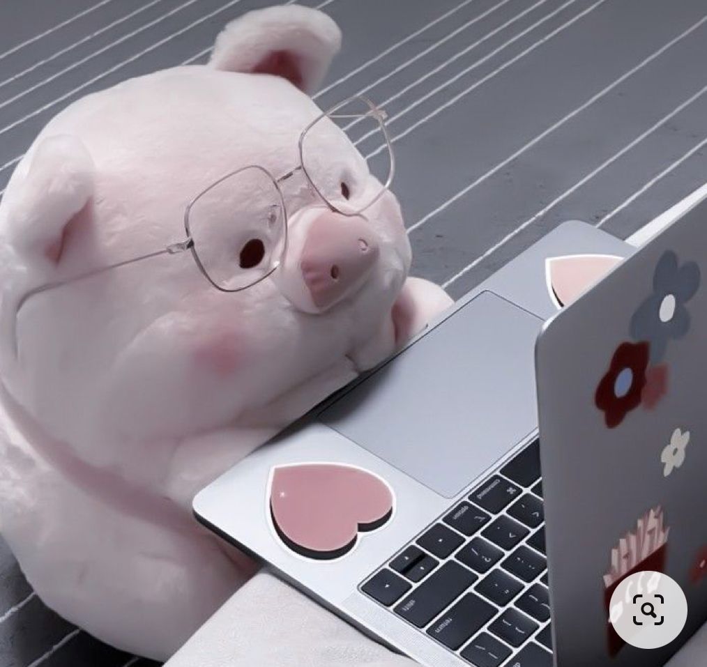 cute pig wallpapers 0021