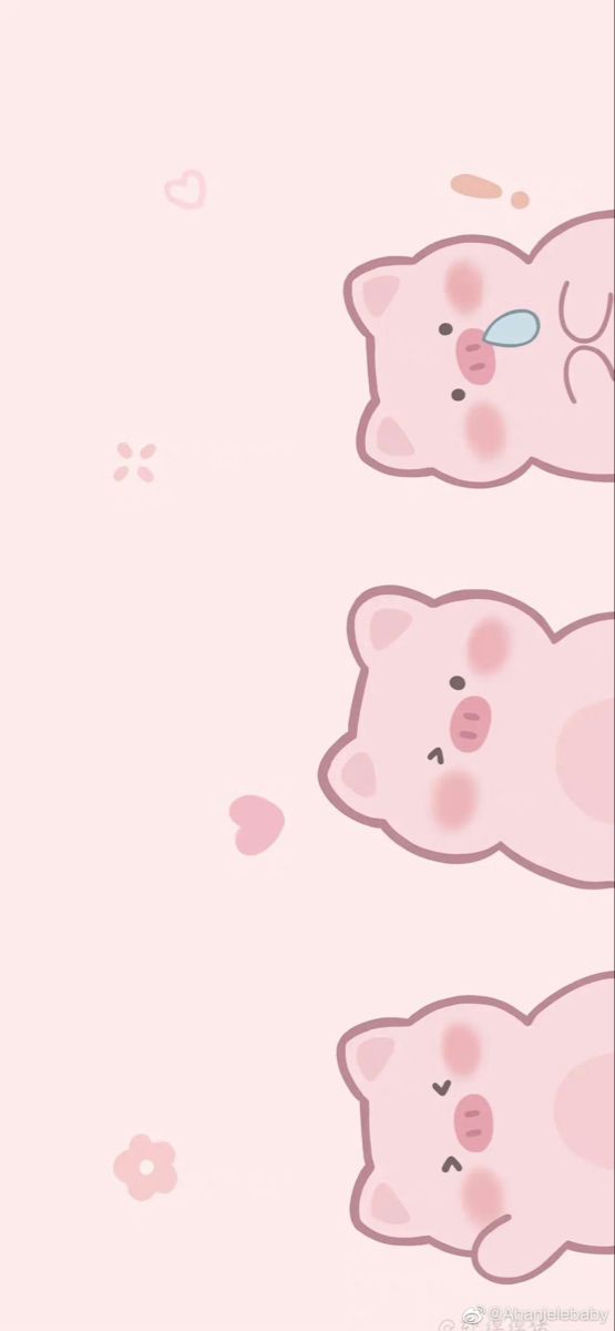 cute pig wallpapers 0038