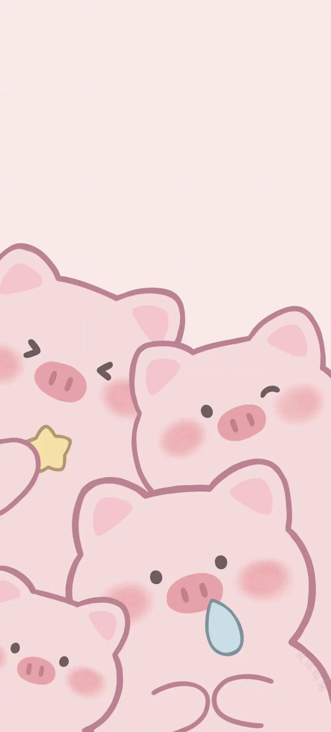 cute pig wallpapers 0050