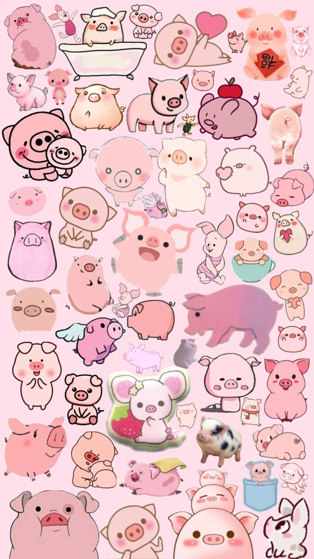 cute pig wallpapers 0057