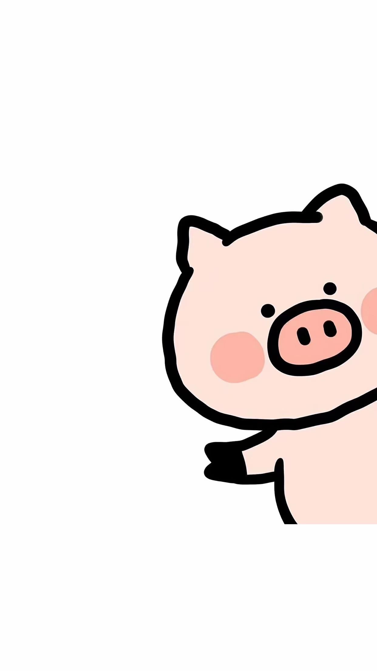 cute pig wallpapers 0075