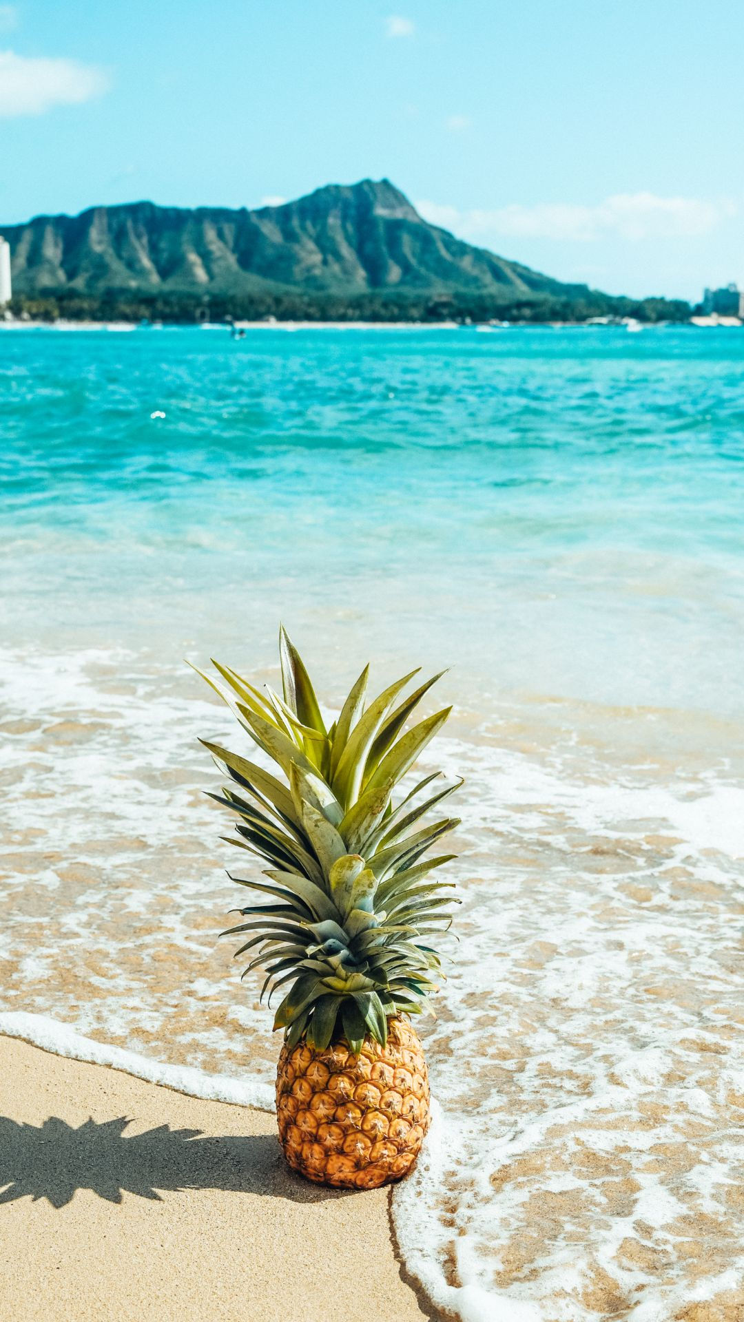 cute pineapple wallpapers 0063