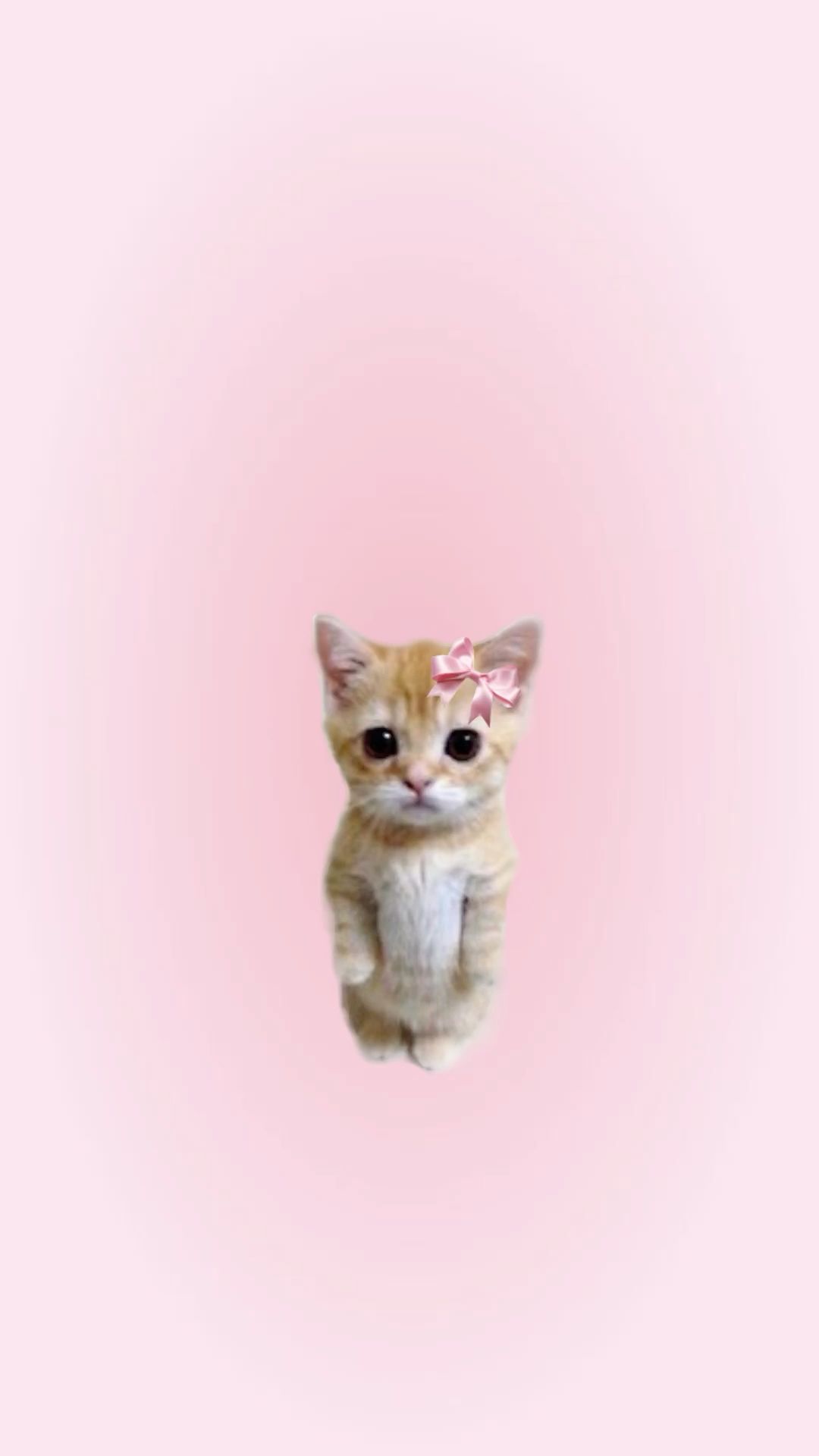 cute pink wallpapers 0038