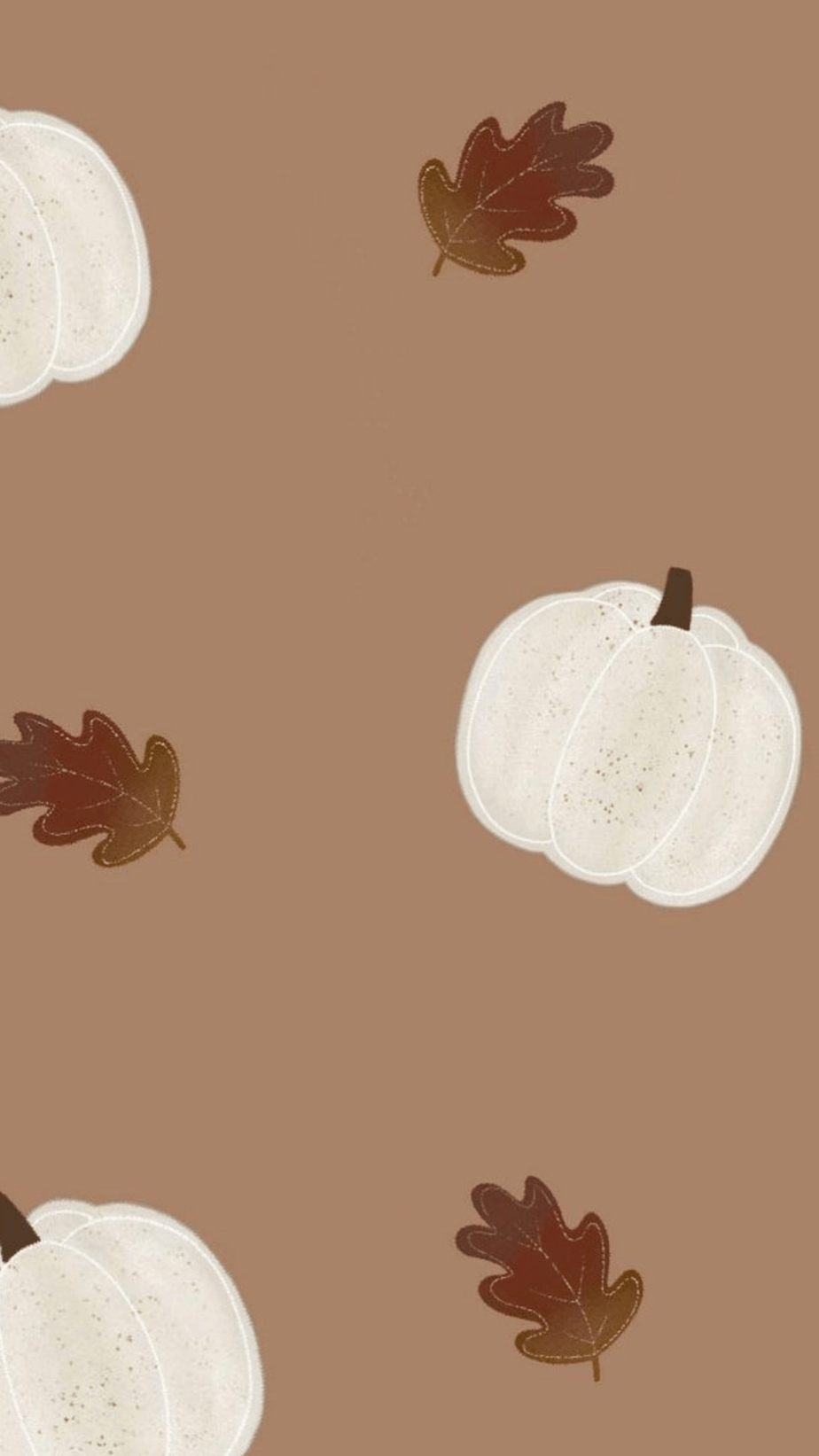 cute pumpkin wallpaper 0013