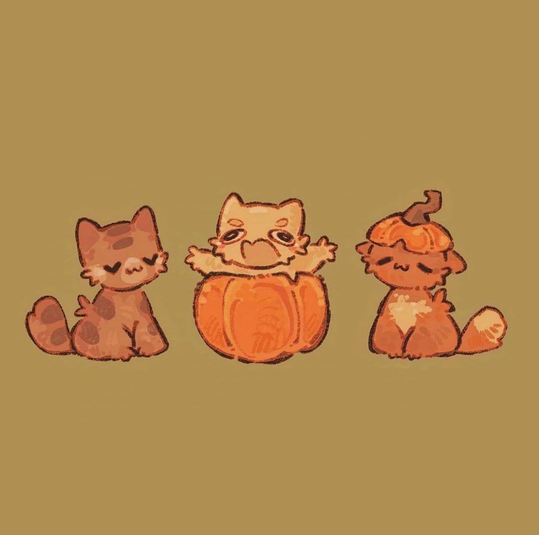 cute pumpkin wallpaper 0031