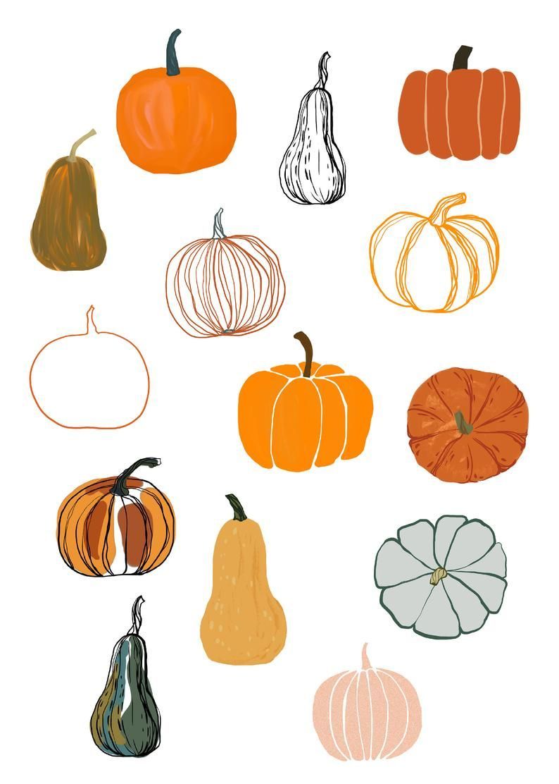 cute pumpkin wallpaper 0047