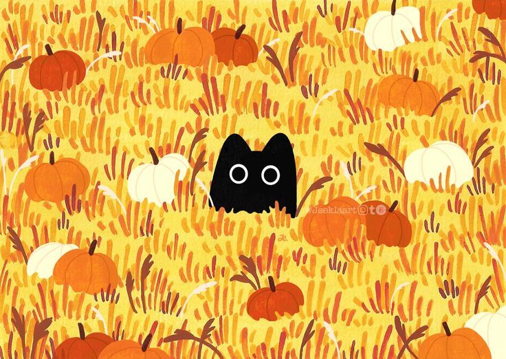 cute pumpkin wallpaper 0093