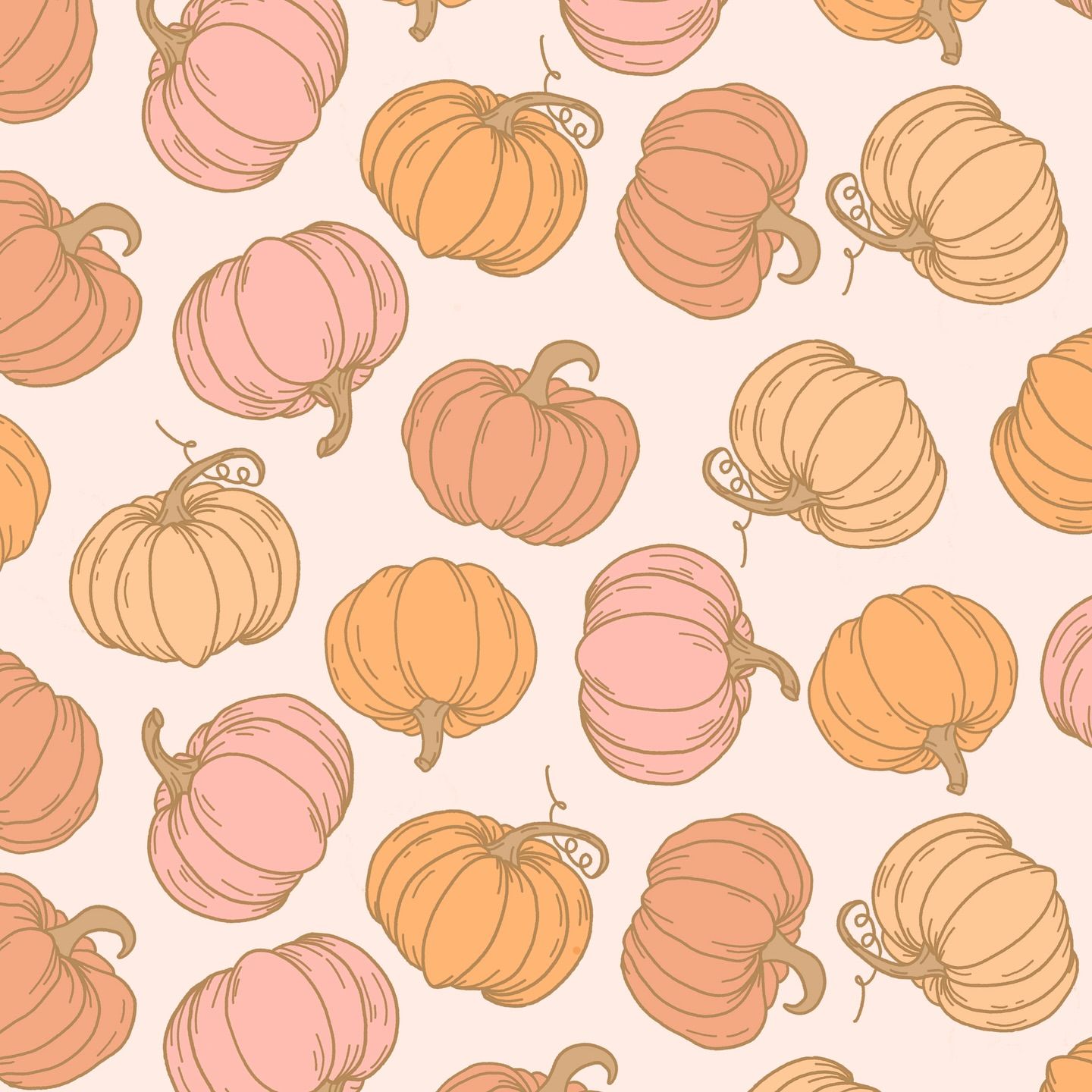 cute pumpkin wallpaper 0095