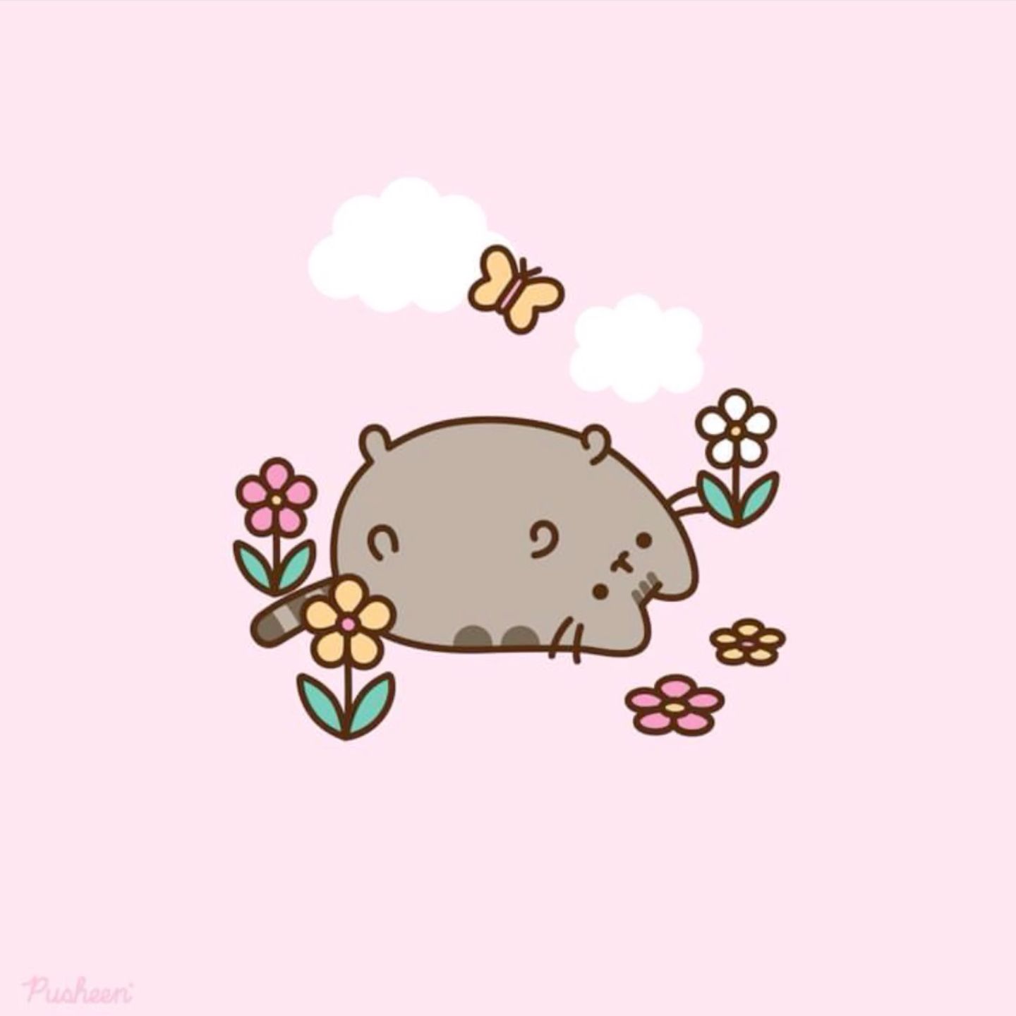 cute Pusheen wallpapers 0020