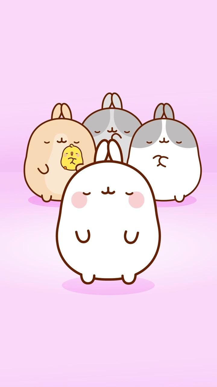 cute Pusheen wallpapers 0065