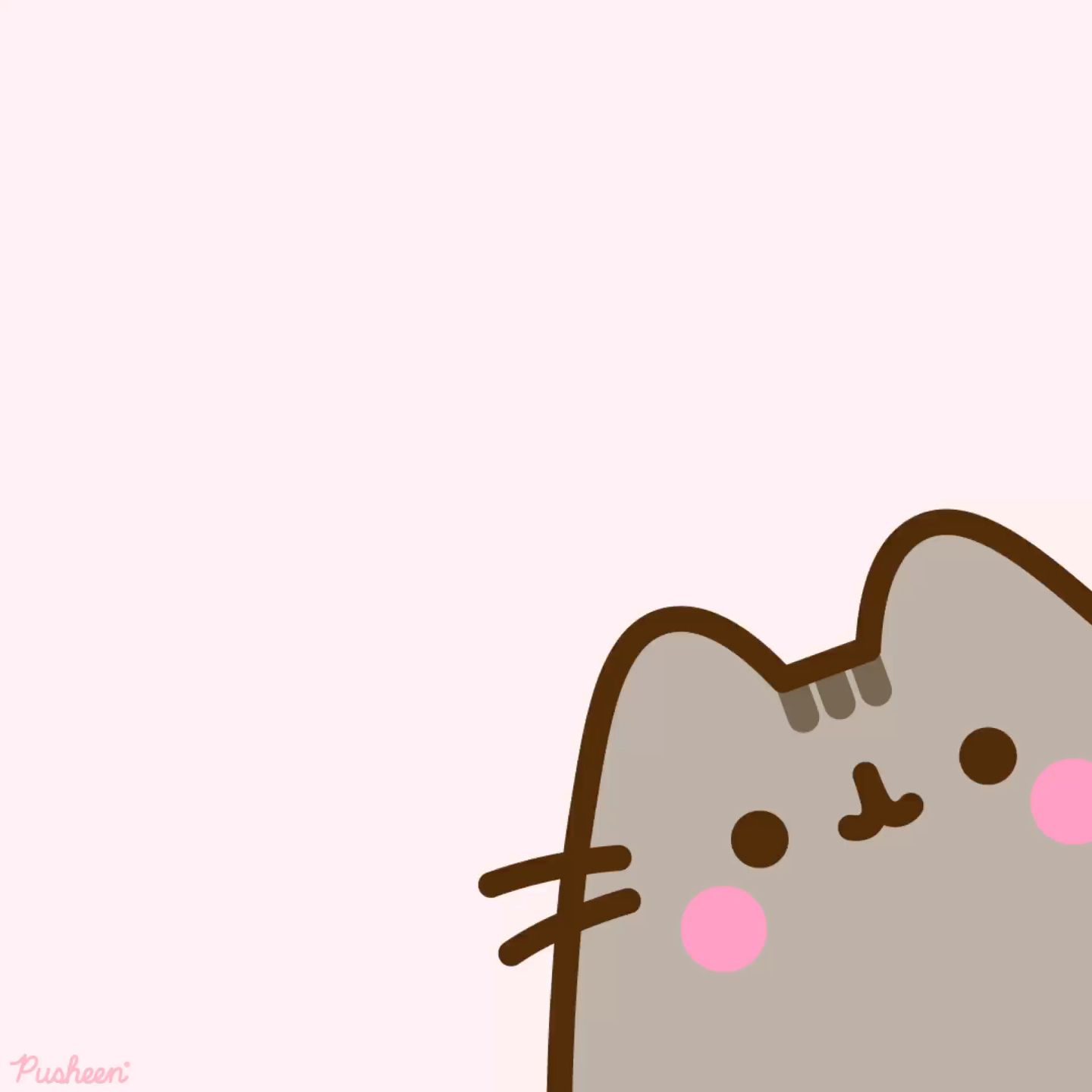 cute Pusheen wallpapers 0083