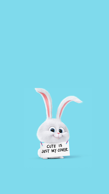 cute rabbit wallpaper 0058