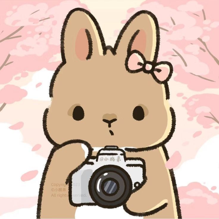 cute rabbit wallpaper 0081