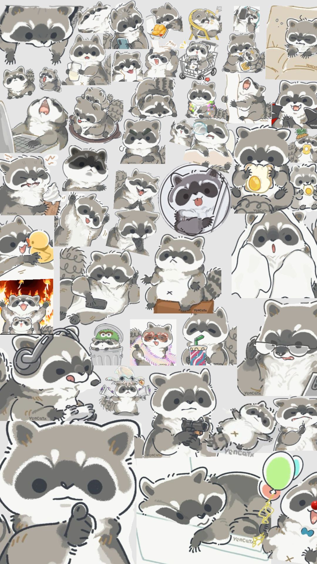 cute raccoon wallpapers 0015