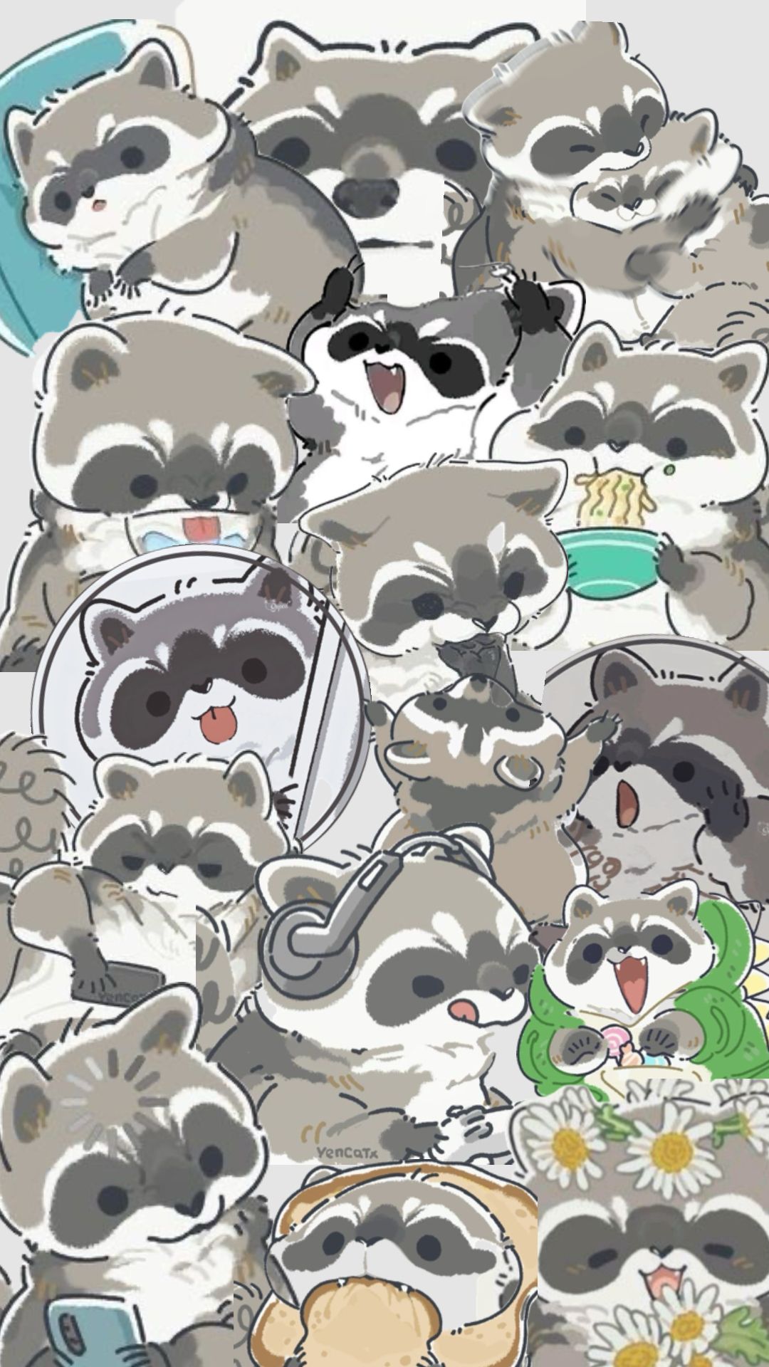 cute raccoon wallpapers 0016