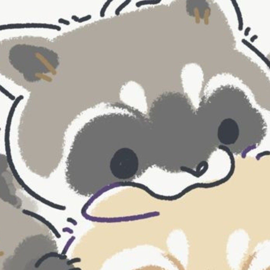 cute raccoon wallpapers 0018