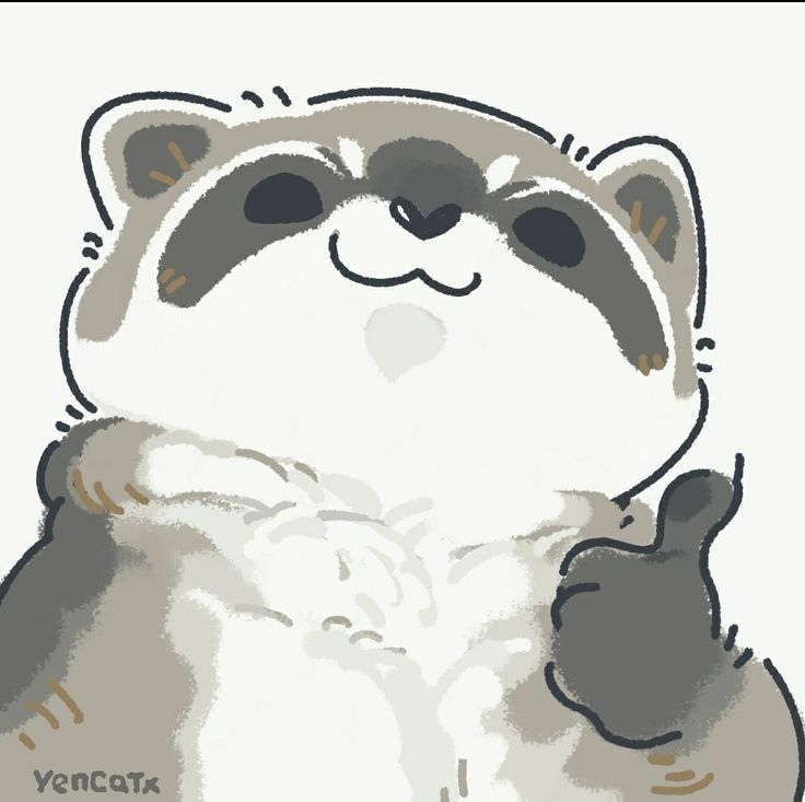 cute raccoon wallpapers 0020