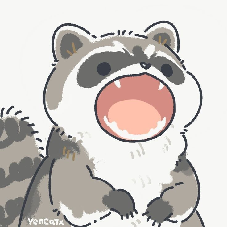 cute raccoon wallpapers 0021