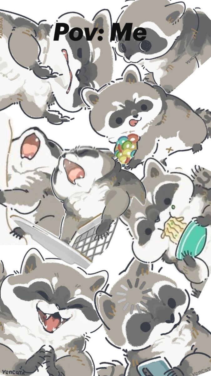 cute raccoon wallpapers 0033