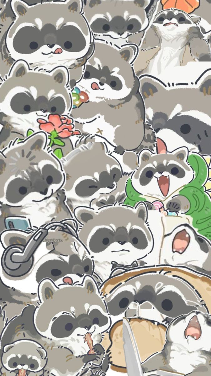 cute raccoon wallpapers 0038