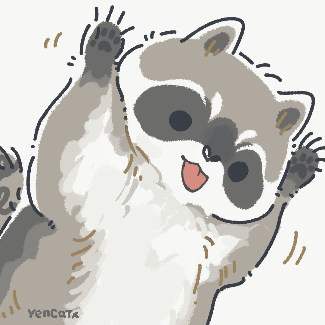 cute raccoon wallpapers 0039