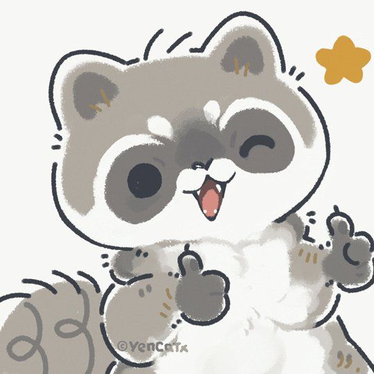 cute raccoon wallpapers 0048