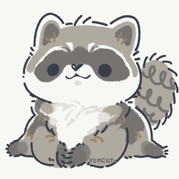 cute raccoon wallpapers 0055