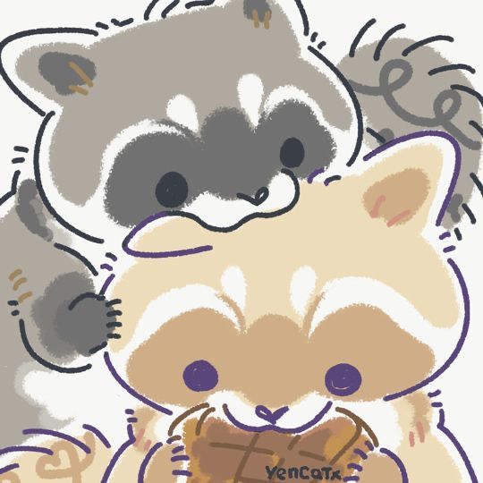 cute raccoon wallpapers 0086