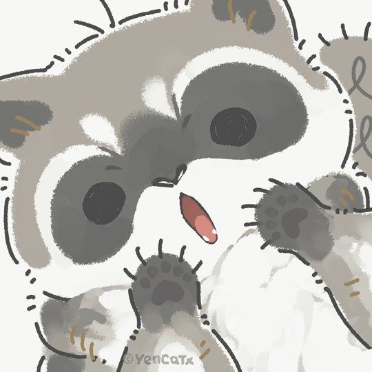 cute raccoon wallpapers 0094