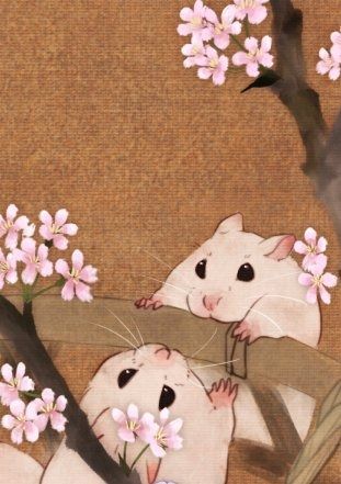 cute rat wallpapers for computer 0086