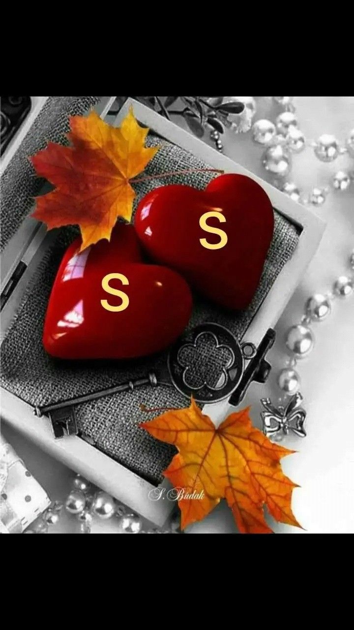 cute S letter in love wallpapers 0056