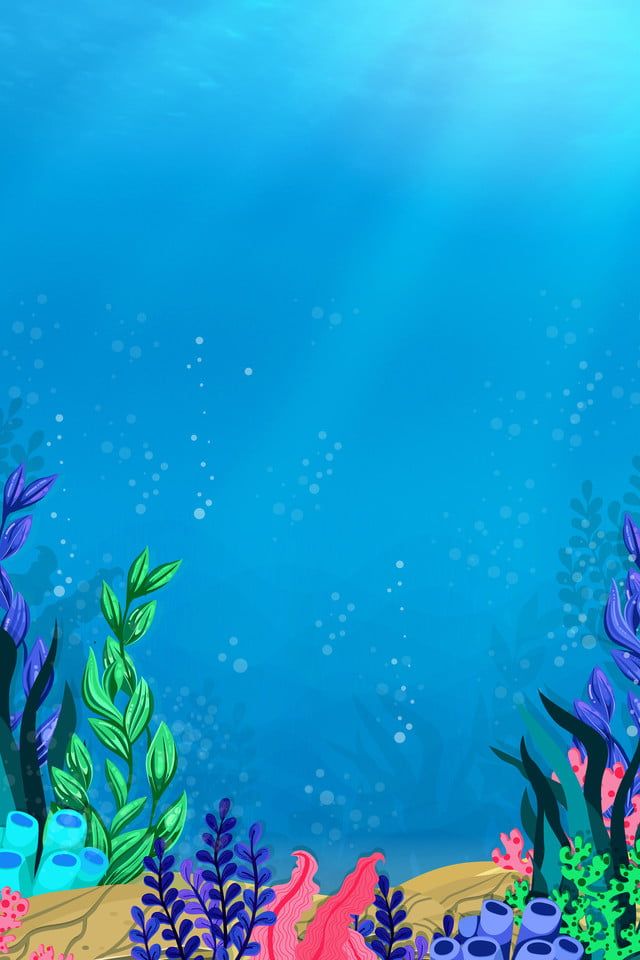 cute sea wallpapers 0055