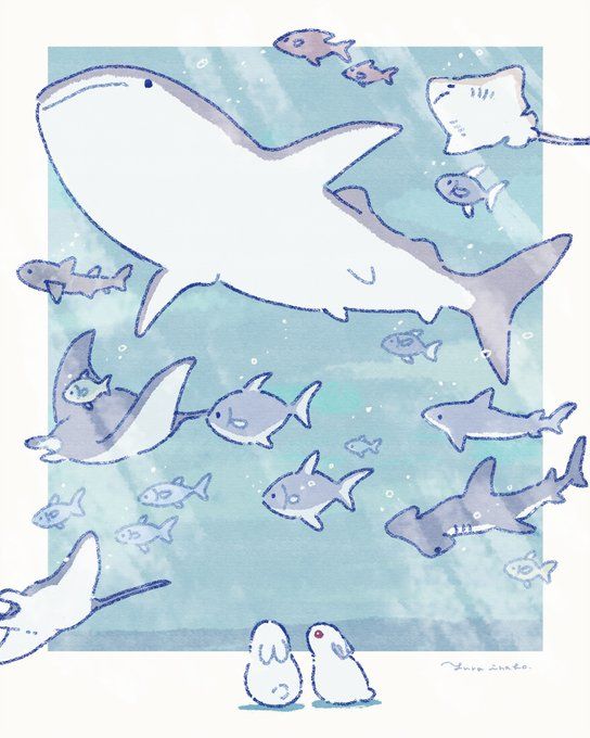 cute shark wallpaper designs