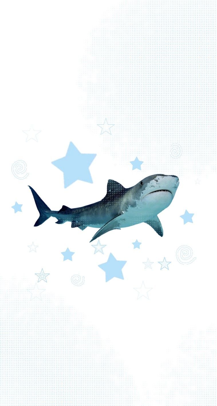 cute shark wallpapers 0080