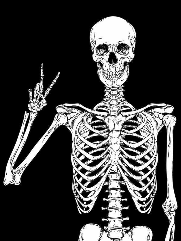 cute skeleton wallpapers 0070