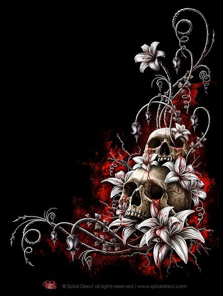 cute skull wallpapers 0044